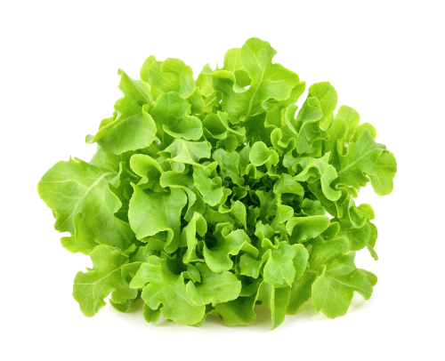 Grünes blattgemüse