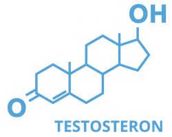 Testosteron-produktion