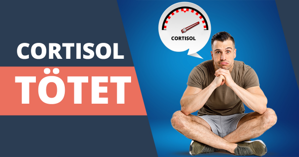Cortisol – der Feind der Sommerfigur?